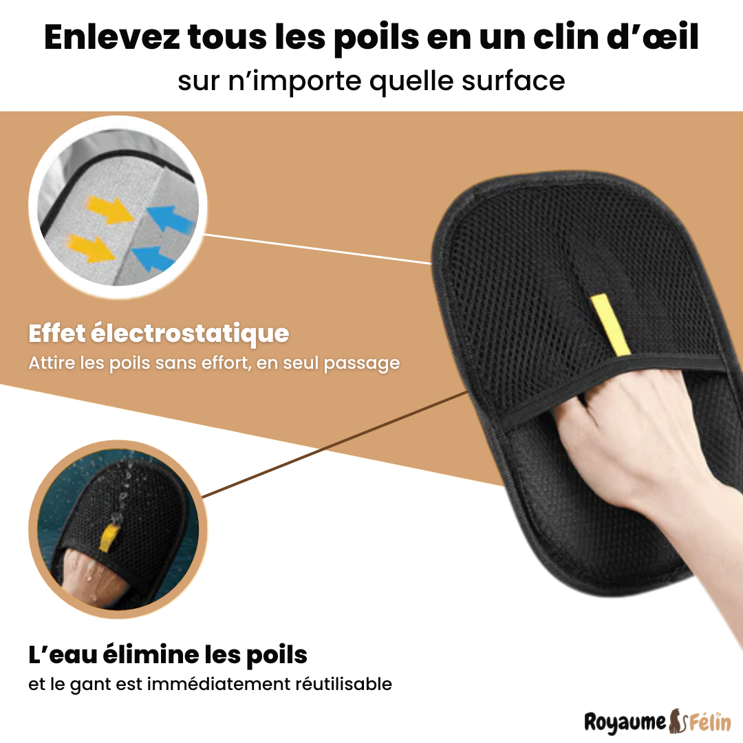 Gant statique attrape-poils